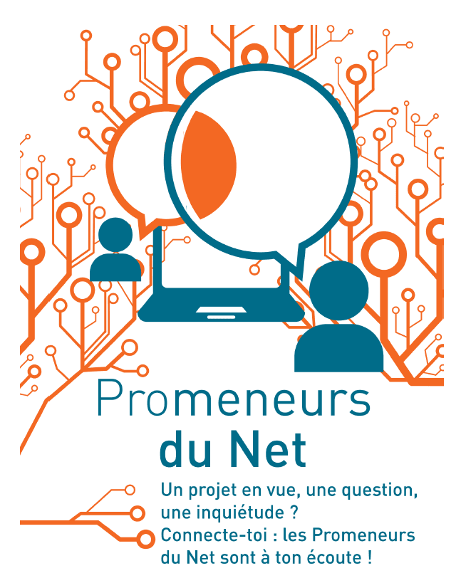Les promeneurs du net